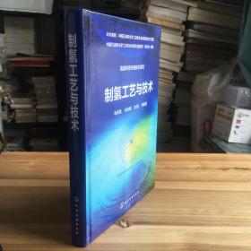 氢能利用关键技术系列：制氢工艺与技术（16开硬精装）