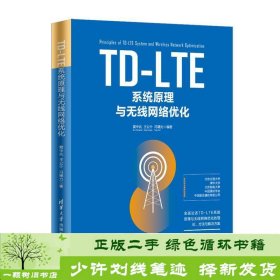 TD-LTE系统原理与无线网络优化 