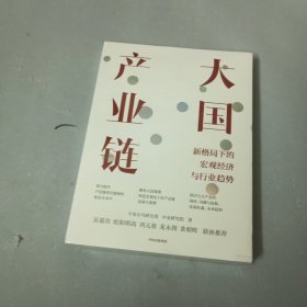 大国产业链 中金公司新作，聚焦大国产业链，探讨新格局下宏观经济与行业趋势 中信出版