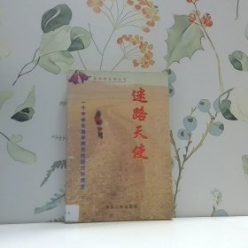 迷路天使 一个中学生逃学两天的经历和感受