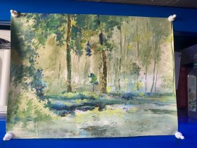 精品水彩画（一）