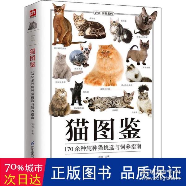 猫图鉴