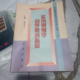 中国钢笔书法自学丛书 （上）