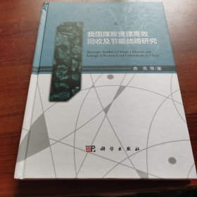 我国煤炭资源高效回收及节能战略研究