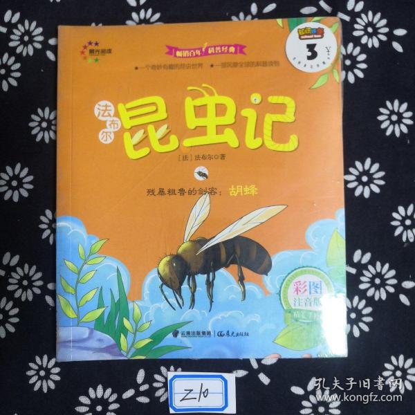 残暴粗鲁的剑客：胡蜂/法布尔昆虫记