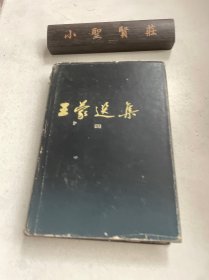 王蒙选集（四）精装