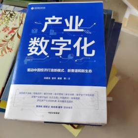 产业数字化驱动中国经济打造新模式新赛道和新生态沈建光金天龚谨杨芳冯永昌著