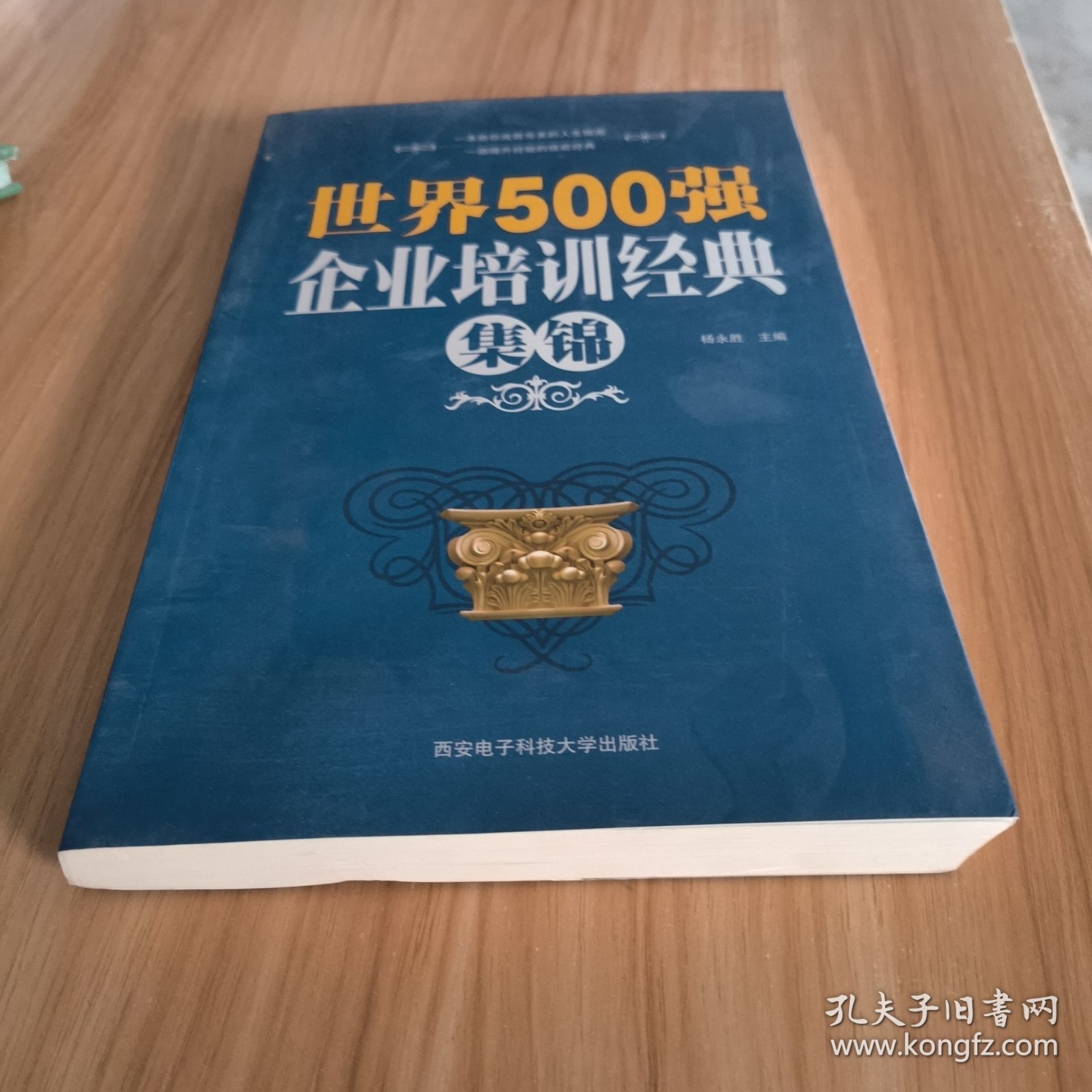 世界500界强企业培训经典集锦