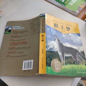 ，狼王梦，。