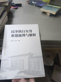 民事执行实务难题梳理与解析