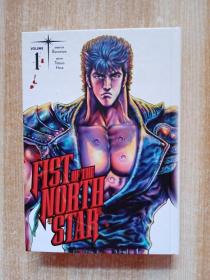 FIST OF THE NORTH STAR