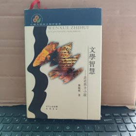 文学智慧:走近西方小说（精装本，内页干净无笔记，详细目录参照书影）