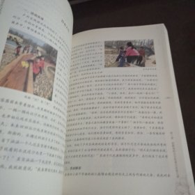 儿童立场：幼儿自主游戏课程的开发与实施