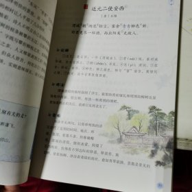 少年飞花令（8本）：明月千里两相思，轻罗小扇扑流萤，秋雨梧桐叶落时，桥上少年桥下水。多少楼台烟雨中，岁岁年年人不同，春城无处不飞花，青山隐隐水迢迢