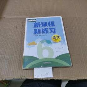 新课程新练习语文六年级下册（统编版）