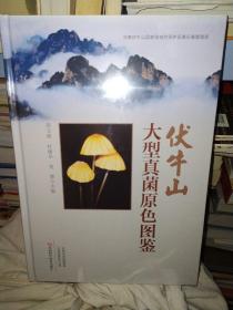 伏牛山大型真菌原色图鉴