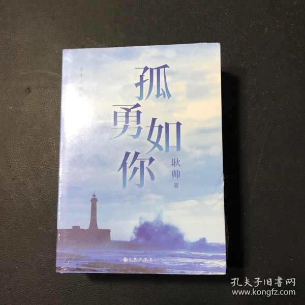 孤勇如你耿帅全新力作（书内附赠限量珍藏人生锦囊卡-四款随机赠送×精美书签）