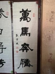 张景照，男，字弟钊，1931年6月生于北京大兴，出身于武术世家，自幼习文练武。6岁时开始临帖学习书法,摹碑、大篆、小篆受教于著名书法家吴兰弟、张伯英两位先生,后为著名书法家王逸举先生入室弟子,得到著名书法家萧劳先生的指教。 保真