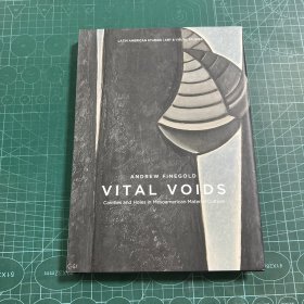 ANDREW FINEGOLD VITAL VOIDS（英文原版）［精裝］