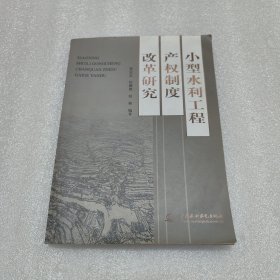 小型水利工程产权制度改革研究