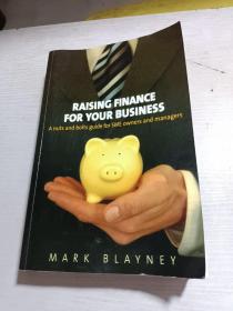 RAISING FINANCE FOR YOUR BUSINESS