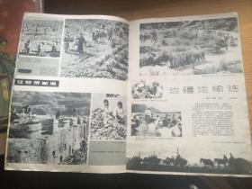 云南画报1961年第1期。。。。总22期......不缺页