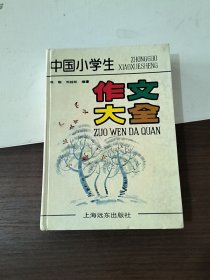 中国小学生作文大全