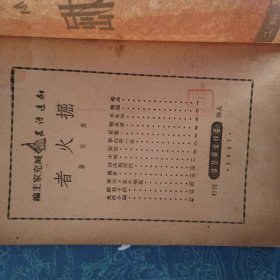 掘火者（新文学诗集）