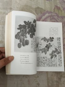 苦禅宗师艺缘录