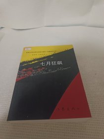 七月狂飙：全景式实录合肥大拆违大建设 【16开 一版一印 品佳】