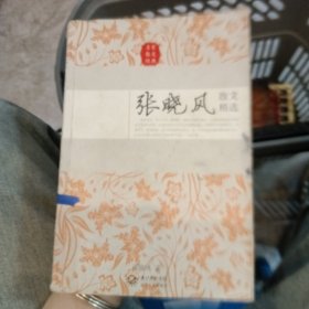 张晓风散文精选