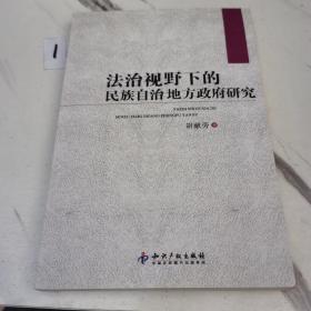 法治视野下的民族自治地方政府研究