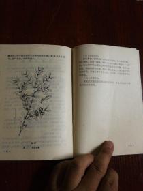 珍贵苗木培育丛书 10本全