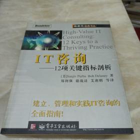 IT咨询：12项关键指标剖析