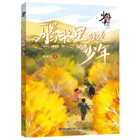 正版书少年中国书系:腾格里沙漠的少年