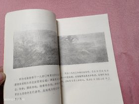 琼崖公学史稿（初稿）