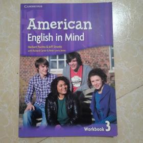 American English in Mind（有馆藏印章）