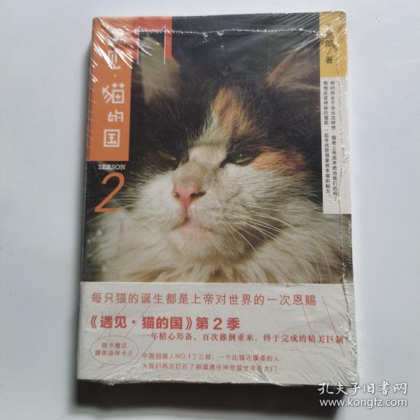 遇见·猫的国 第2季