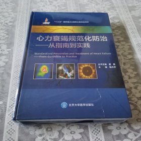 心力衰竭规范化防治：从指南到实践（国家出版基金项目八）