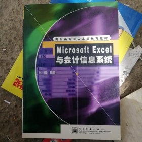 Microsoft Excel 与会计信息系统