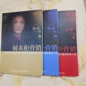 廚衣柜營(yíng)銷 上中下卷