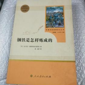 统编语文教材配套阅读 八年级下：钢铁是怎样炼成的/名著阅读课程化丛书