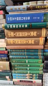 中國安全防范行業(yè)年鑒.2006版  16開 精裝