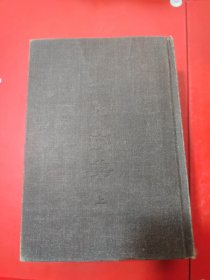 中华大字典(缩印本全二册)