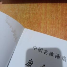 康宁画集 中国名家画集系列·珍藏版