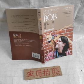 遇见一只猫:与Bob相伴的日子