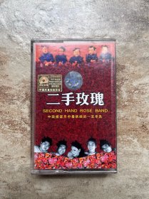 二手玫瑰《中国摇滚乐中最妖娆的一支乐队》