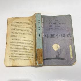 1982中篇小说选1