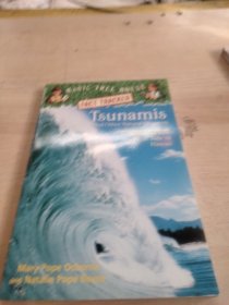 Tsunamis and Other Natural Disasters: A Nonfiction Companion to High Tide in Hawaii