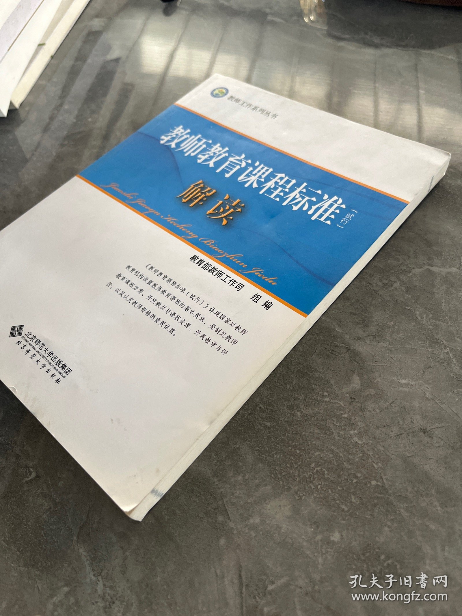 教师工作系列丛书:教师教育课程标准（试行）解读